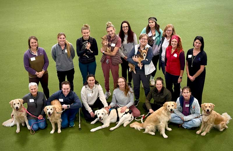 A group of students attending a course on small animal veterinary acupuncture.