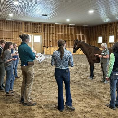 Equine acupuncture certification instruction